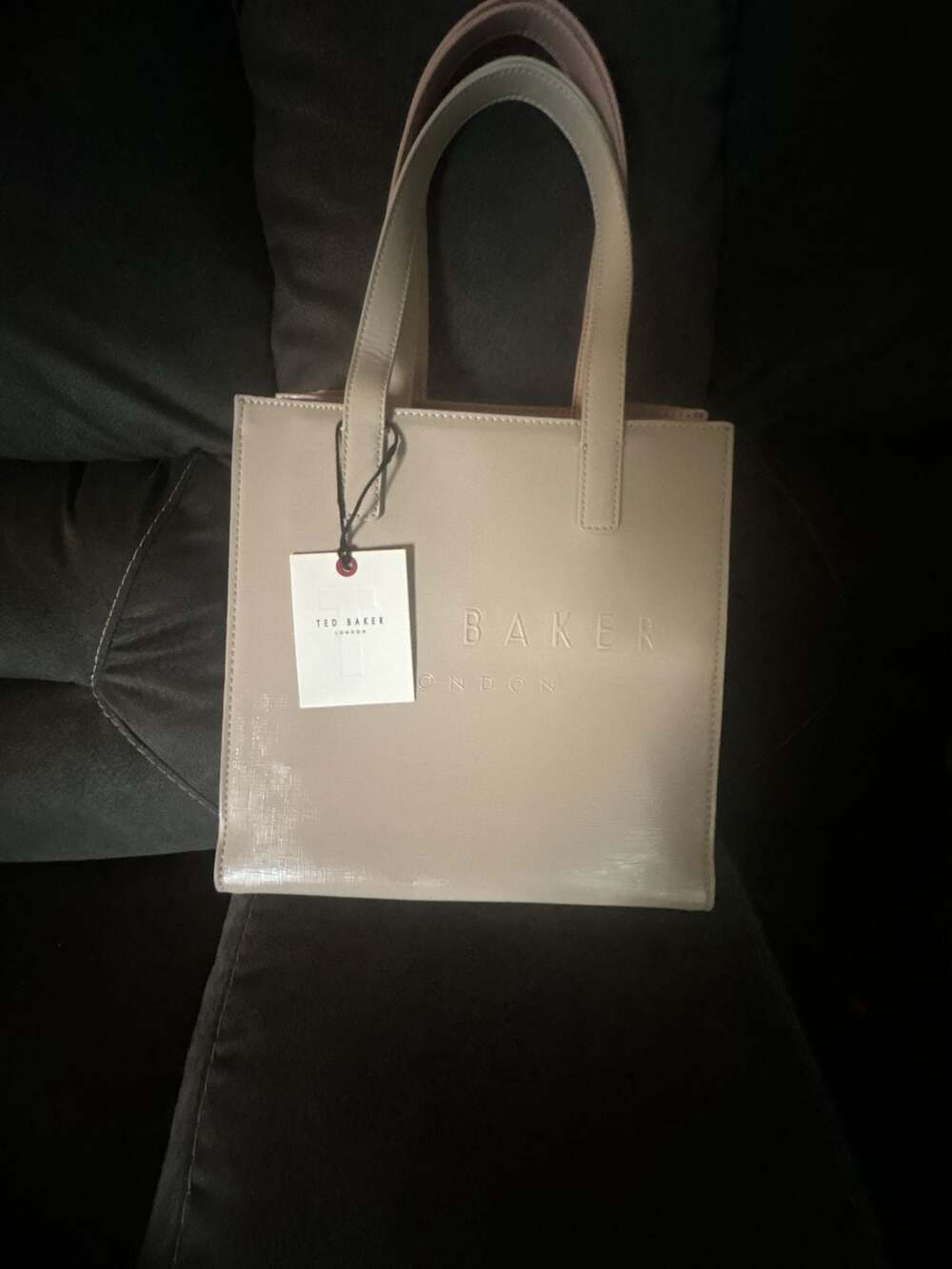 Ted Baker The Icon Small Tote Bag in Nude/Cream